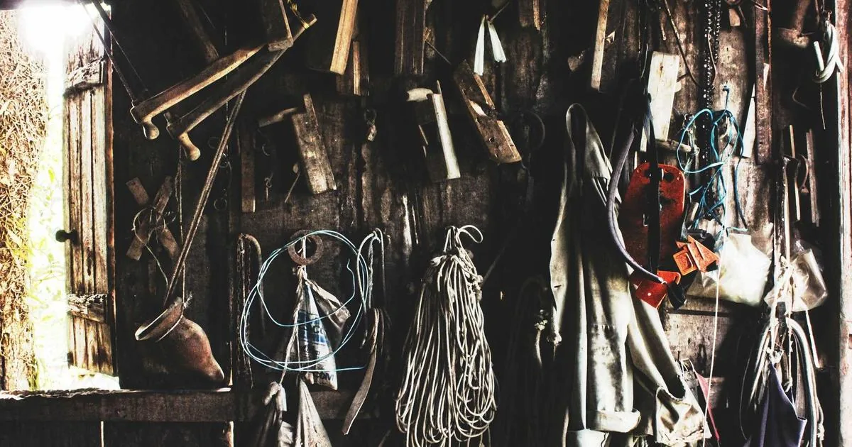 Desarrollo a Medida y Automatización de Procesos: La Fórmula para Escalar la Productividad